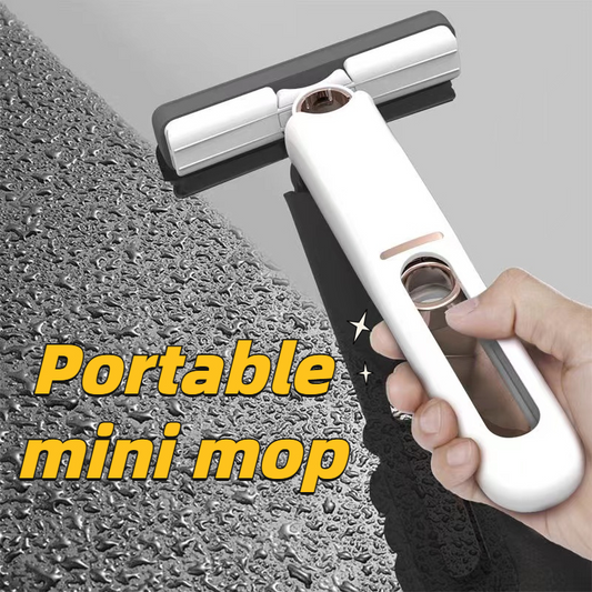 Portable Mini mop cleaner
